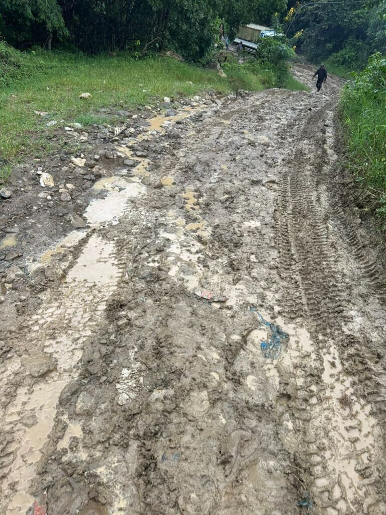 Productores agrícolas de San José de Ocoa sufren pérdidas millonarias por las lluvias